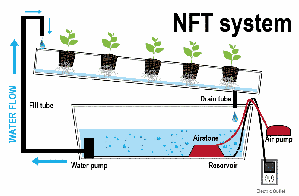https://hydroponicsinfomation.files.wordpress.com/2013/04/nft-nutrient-film-technique-system-explained.png